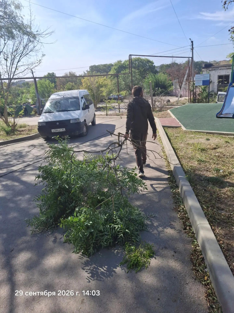 Выполнены работы по спилу сухих веток по ул. Кооперативная, д.51