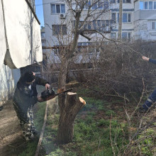 Выполнили спил дерева по заявке, ул. Димитрова, д.5