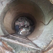 Выполнили прочистку канализационной системы по ул. Димитрова, д.1-в