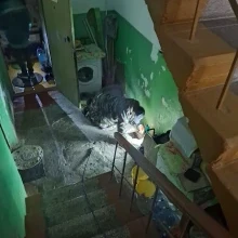 Выполнили прочистку канализационной системы по пер.Революции, д.16